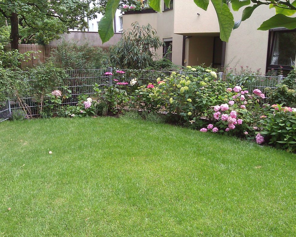 Hinterhofgarten mit Hortensienbeeteinfassung und Rollrasenfläche